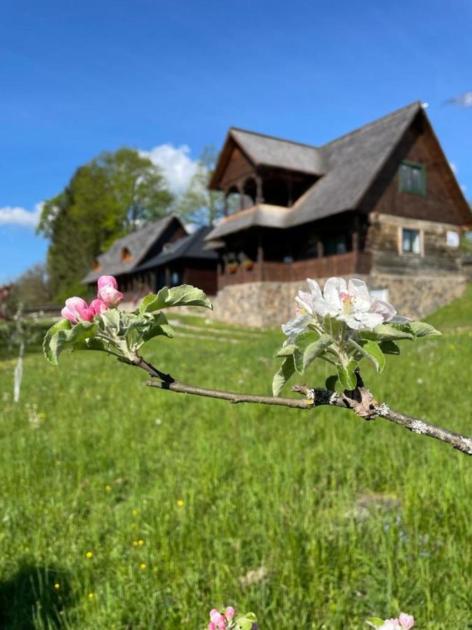 Bed and Breakfast Cununa Vailor à Deseşti Extérieur photo